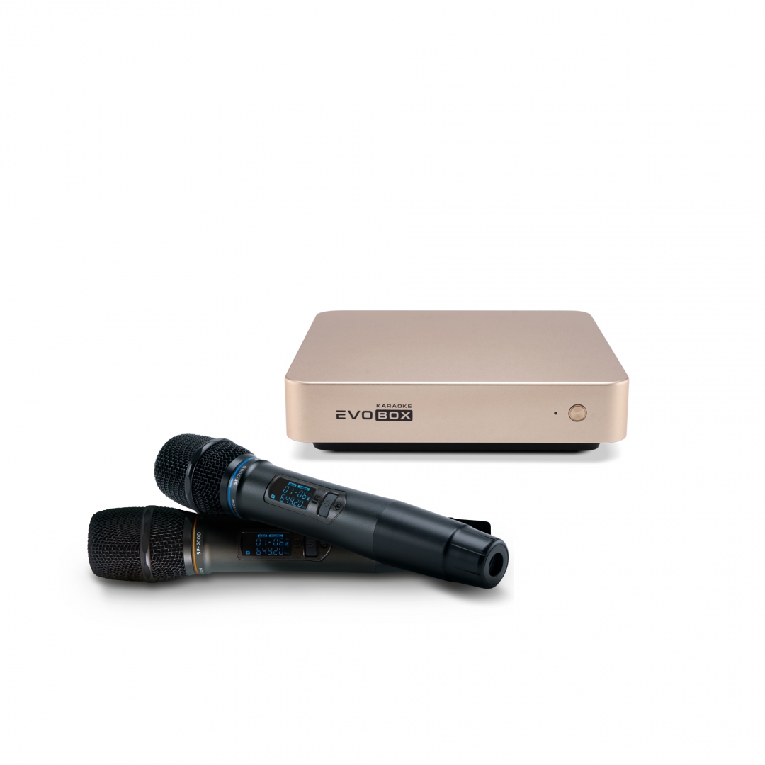 EVOBOX с микрофонами в Советске