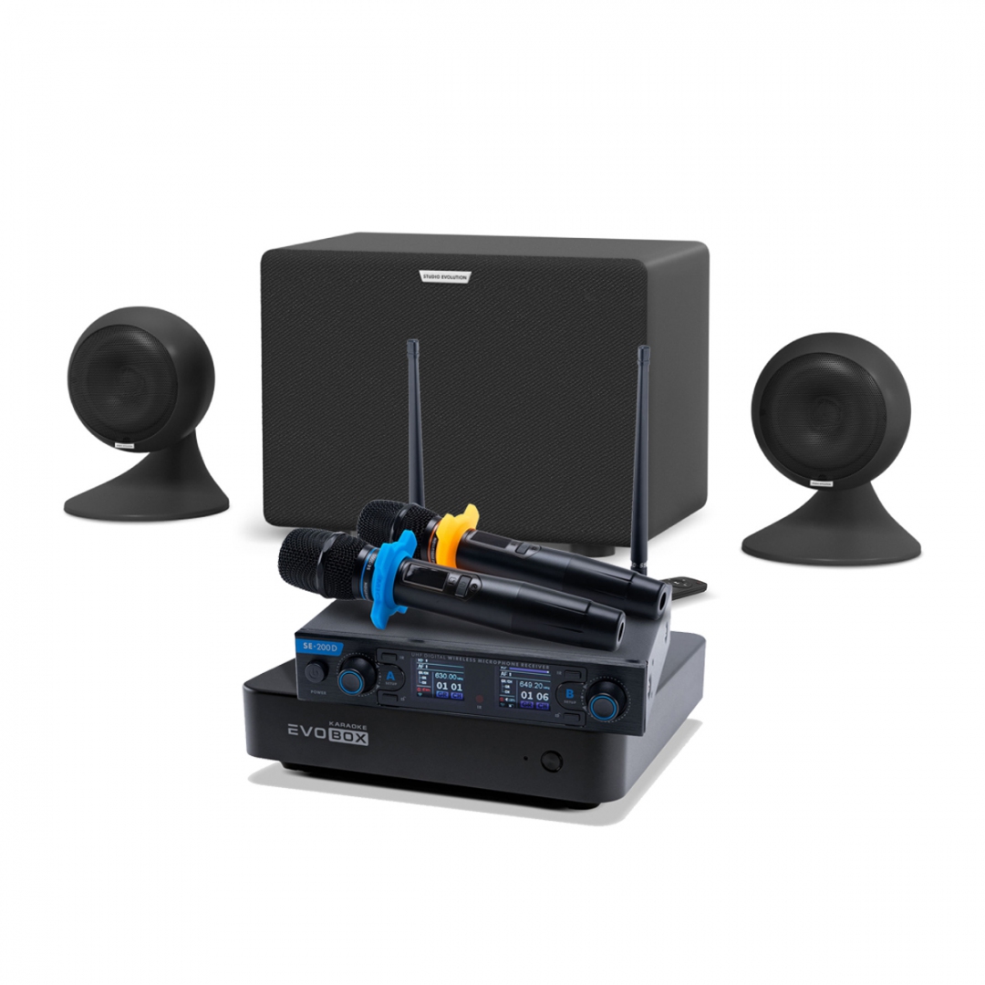 караоке-комплект EVOBOX + EvoSound Sphere 2.1 в Советске