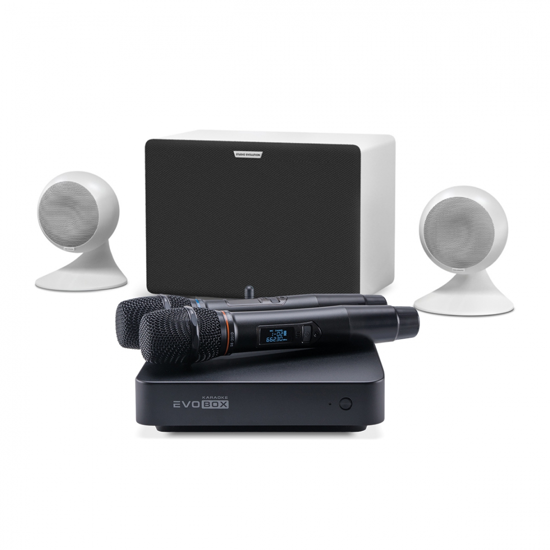 караоке-комплект EVOBOX Classic + EvoSound Sphere 2.1 в Советске