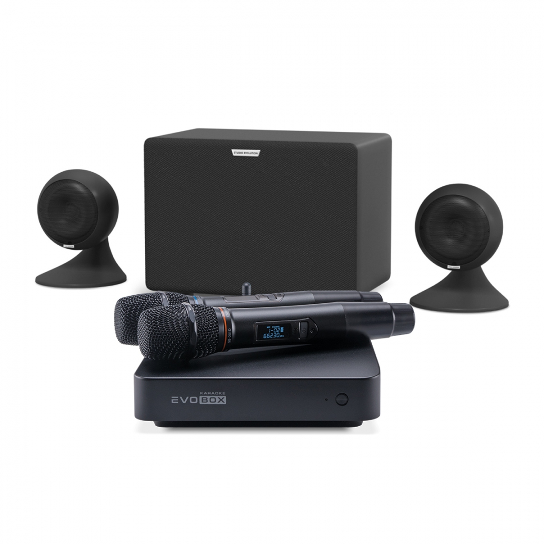 караоке-комплект EVOBOX Plus + EvoSound Sphere 2.1 в Советске