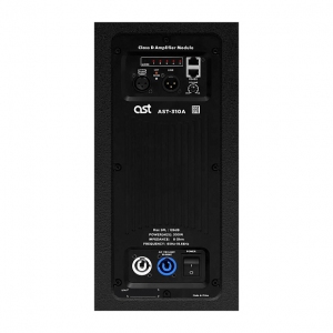 Активная акустическая система AST-310A в Советске