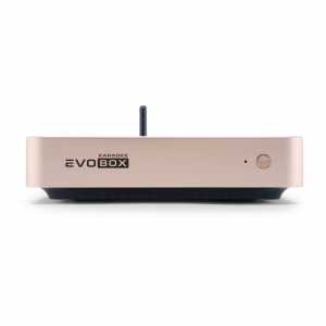 EVOBOX Plus караоке-система для дома в Советске