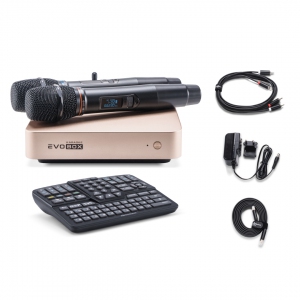 EVOBOX Plus караоке-система для дома в Советске