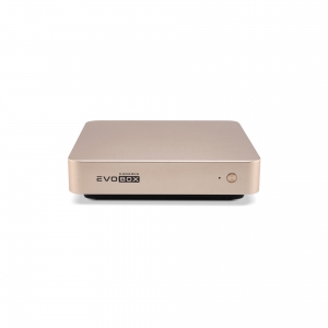 EVOBOX с микрофонами в Советске